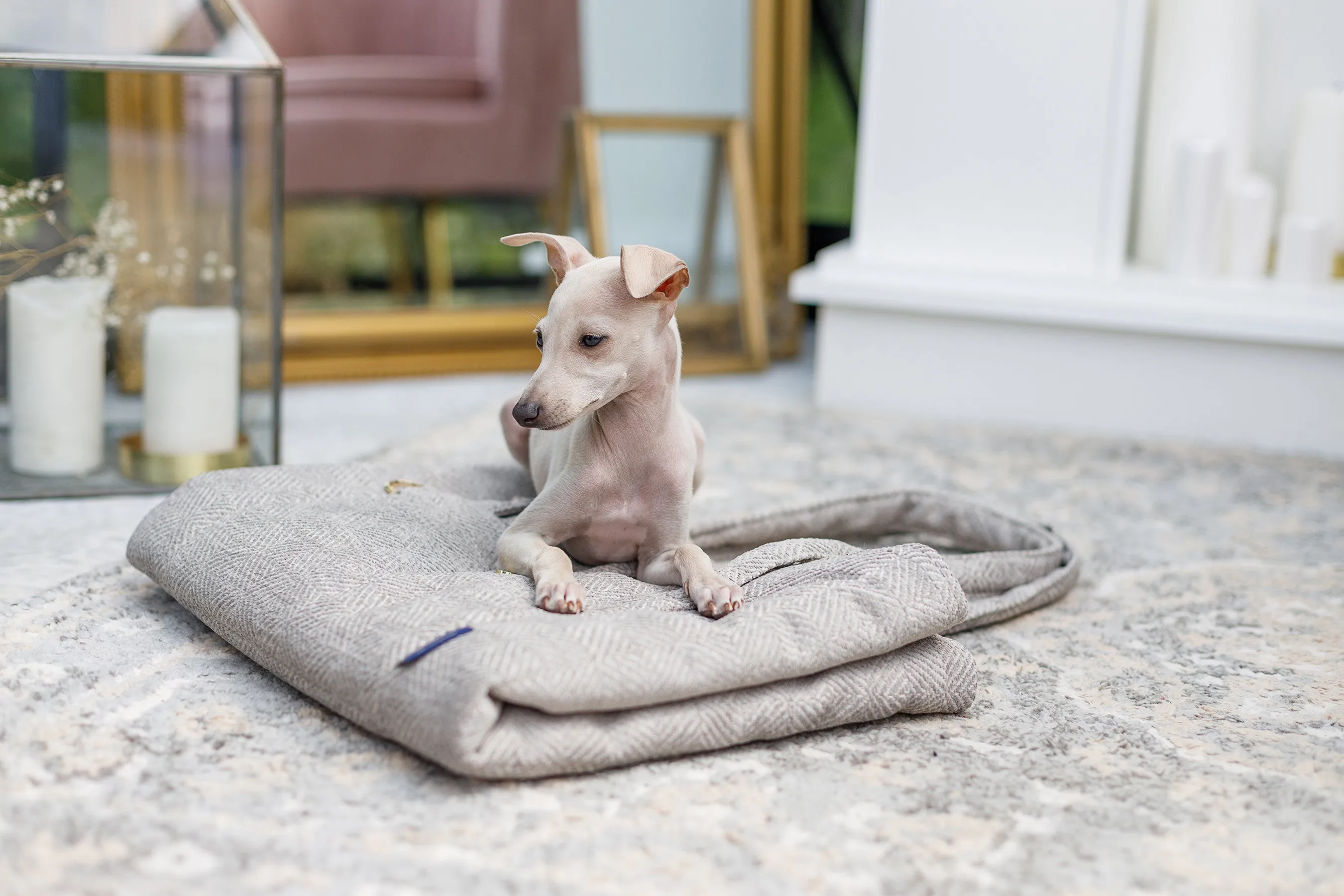 Oh Charlie Dog Travel Mat Florence