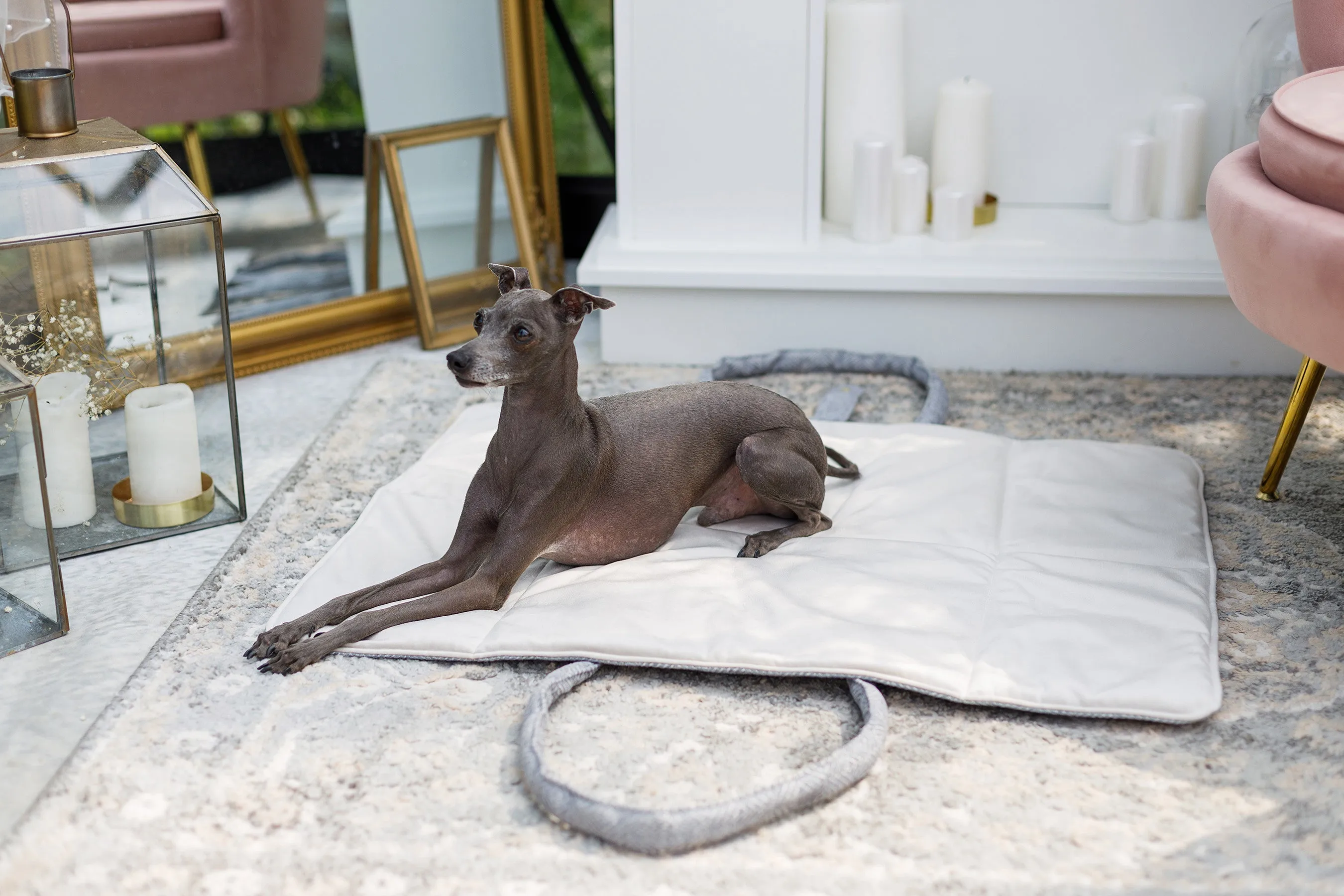 Oh Charlie Dog Travel Mat Florence