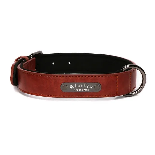 PetAffairs Personalized Leather Dog Collar with Name Engraving