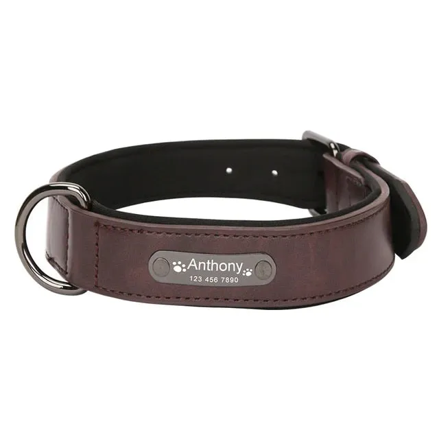 PetAffairs Personalized Leather Dog Collar with Name Engraving